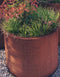 Plantenbak Ronda