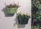Plantenbak - W-smart - 36x16x16 Taupe - 8L - Incl. Rooster