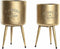 Plantenbakkenset DKD Home Decor 25,5 x 25,5 x 44 cm Metaal (2 Stuks)