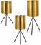 Plantenbakkenset Zwart Gouden Metaal (6 Stuks)