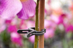 Plantenclip dia. 18mm set a 5 stuks
