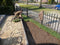 Plantenmat vasteplanten maagdenpalm Vinca Alba prijs per 1m2 cm Cov...