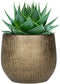 Plantenpot/bloempot in een strakke Modern design look metal goud Dia 18 cm en Hoogte 16 cm