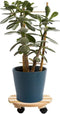 Plantenroller - Plantentrolley - Voor binnen en buiten - draagvermogen tot 80 kg - rond-vurenhout - 30x30cm
