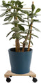 Plantenroller - Plantentrolley - Voor binnen en buiten - draagvermogen tot 80 kg - vierkant-vurenhout - 30x30cm