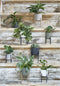 Plantenstandaard/voet Ascot goud 14 x 12 cm - Plantenkrukjes - Woonaccessoires urban jungle