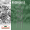 Plantensteun Rozenzuil – 1 St. 200 cm - voor Rozen Klimplanten Bloemen