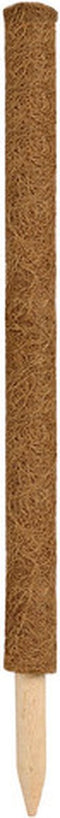 Plantenstok kokos / tonkinstokken bruin 60 cm - diameter 38 mm - plantensteunen / plantstokken