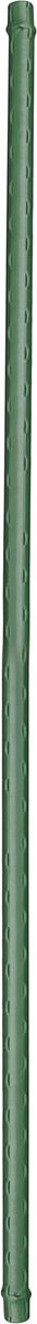 Plantenstokken / tonkinstokken donkergroen 60 cm - metaal - diameter 8 mm - plantensteunen / plantstokken