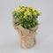 Plantje in jute zak Fleur geel