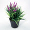 Plantje in kunststof pot Aimee paars