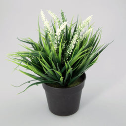 Plantje in kunststof pot Aimee wit