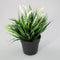 Plantje in kunststof pot Aimee wit
