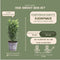 Plants by Frank | 1 strekkende meter Groene Kardinaalsmuts heg | 6x Euonymus japonicus 'Green Spire' Ø12 cm - 20 cm | winterharde haagplanten | Groenblijvende haag | Tuinplanten | Planten