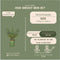 Plants by Frank | 1 strekkende meter hulsthaag | 6x Ilex crenata 'Jenny'® Ø12 cm - 20 cm | winterharde haagplanten | Groenblijvende haag | Tuinplanten | Planten