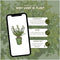 Plants by Frank | 1 strekkende meter hulsthaag | 6x Ilex crenata 'Jenny'® Ø12 cm - 20 cm | winterharde haagplanten | Groenblijvende haag | Tuinplanten | Planten