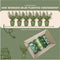 Plants by Frank | 1 strekkende meter hulsthaag | 6x Ilex crenata 'Jenny'® Ø12 cm - 20 cm | winterharde haagplanten | Groenblijvende haag | Tuinplanten | Planten