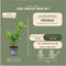 Plants by Frank | 1 strekkende meter laurierkershaag | 6x Prunus laurocerasus 'Novita' Ø12 cm - 20 cm | winterharde haagplanten | Groenblijvende haag | Tuinplanten | Planten