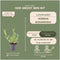 Plants by Frank | 12 Ijzerhard planten | Verbena bonariensis | Winterharde bodembedekker planten | tuinplanten | Winterharde vaste planten meerjarig | Winterharde tuinplanten