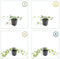 Plants by Frank | 12 Klimopplanten | Hedera helix 'Glacier' | Winterharde bodembedekker planten | tuinplanten | Winterharde vaste planten meerjarig | Winterharde tuinplanten