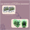 Plants by Frank - 12 Lavendelplanten - Vaste planten - Tuinplanten - 12 x Ø7 cm - 15 cm - Lavendelplant winterhard - planten