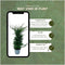 Plants by Frank | 20 extra grote taxus planten voor 10 strekkende meter haag | ↨ 100-125cm in 15 liter pot | Taxus baccata | haagplanten | haagplanten winterhard | haagplanten