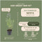 Plants by Frank | 24 kattenkruid planten | Nepeta 'Walker's Low' | Winterharde bodembedekker planten | tuinplanten | Winterharde vaste planten meerjarig | Winterharde tuinplanten