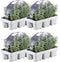 Plants by Frank - 24 Lavendelplanten - Vaste planten - Tuinplanten - 24 x Ø7 cm - 15 cm - Lavendelplant winterhard - planten