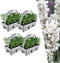Plants by Frank | 24 witte Lavendelplanten | Vaste planten | Tuinplanten | 24 x Ø7 cm | 15 cm | Lavendelplant winterhard | planten