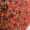 Plants by Frank | 25 grote Glansmispel planten voor 10 strekkende meter haag | ↨ 100-125 cm in 12 liter pot | Photinia Red Robin | haagplanten | winterharde haagplanten | haagplanten