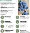 Plants by Frank | 3 bosbessenplanten | bosbessenplanten | 100% Biologische fruitplanten | bosbessen | tuinplanten | winterharde planten voor de tuin