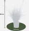 Plants by Frank | 3 Carex brunnea Variegata XL | Siergrassen winterhard | 3x Ø 14 cm | vaste planten | Winterharde siergras