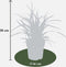 Plants by Frank | 3 Carex morrowii 'Ice Dance' XL | Siergrassen winterhard | 3x Ø 14 cm | vaste planten | Winterharde siergras