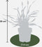 Plants by Frank | 3 Liriope muscari 'Ingwersen' XL | Siergrassen winterhard | 3x Ø 14 cm | vaste planten | Winterharde siergras
