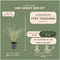 Plants by Frank | 48 Federgras planten | Stipa tenuissima 'Ponytails' | Winterharde bodembedekker planten | tuinplanten | Winterharde vaste planten meerjarig | Winterharde tuinplanten