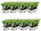 Plants by Frank - 48 hulstplanten winterhard | 48 x Ø7 cm - 15 cm | Ilex crenata Jenny | haagplanten | buxus vervanger | Tuinplanten | Planten