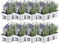 Plants by Frank - 48 Lavendelplanten - Vaste planten - Tuinplanten - 48 x Ø7 cm - 15 cm - Lavendelplant winterhard - planten