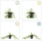 Plants by Frank | 48 Paarse Maagdenpalm planten | Vinca minor 'Atropurpurea' | Winterharde bodembedekker planten | tuinplanten | Winterharde vaste planten meerjarig | Winterharde tuinplanten