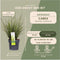 Plants by Frank | 6 Carex brunnea Variegata XL | Siergrassen winterhard | 6x Ø 14 cm | vaste planten | Winterharde siergras