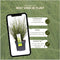 Plants by Frank | 6 Carex brunnea Variegata XL | Siergrassen winterhard | 6x Ø 14 cm | vaste planten | Winterharde siergras