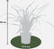 Plants by Frank | 6 Carex morrowi 'Irish Green XL | Siergrassen winterhard | 6x Ø 14 cm | vaste planten | Winterharde siergras