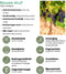 Plants by Frank | 6 Druivenplanten | 100% Biologische Fruitplanten | Druiven | Tuinplanten | Winterharde Planten voor de Tuin