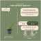 Plants by Frank | 6 Dwergmispel Planten | Cotoneaster suecicus 'Coral Beauty' | Winterharde bodembedekker planten | tuinplanten | Winterharde vaste planten meerjarig | Winterharde tuinplanten