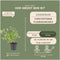 Plants by Frank | 6 loodkruid planten | Ceratostigma plumbaginoides | Winterharde bodembedekker planten | tuinplanten | Winterharde vaste planten meerjarig | Winterharde tuinplanten