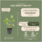 Plants by Frank | 6 Stork Beak Plants | Geranium ‘Rozanne’ | Garden Plants