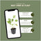 Plants by Frank | 6 Stork Beak Plants | Geranium ‘Rozanne’ | Garden Plants