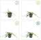 Plants by Frank | 6 Witte Maagdenpalm planten | Vinca minor 'Alba' | Winterharde bodembedekker planten | tuinplanten | Winterharde vaste planten meerjarig | Winterharde tuinplanten