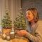 Plants by Frank | Echte Lavendel Kerstboom | 15 cm Ø | 40-50 cm ↨ | Kerst decoratie | Kerstversiering | Kerstdecoratie | Tuinplanten