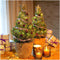 Plants by Frank | Echte Lavendel Kerstboom | 15 cm Ø | 40-50 cm ↨ | Kerst decoratie | Kerstversiering | Kerstdecoratie | Tuinplanten