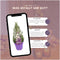Plants by Frank | Echte Lavendel Kerstboom | 15 cm Ø | 40-50 cm ↨ | Kerst decoratie | Kerstversiering | Kerstdecoratie | Tuinplanten